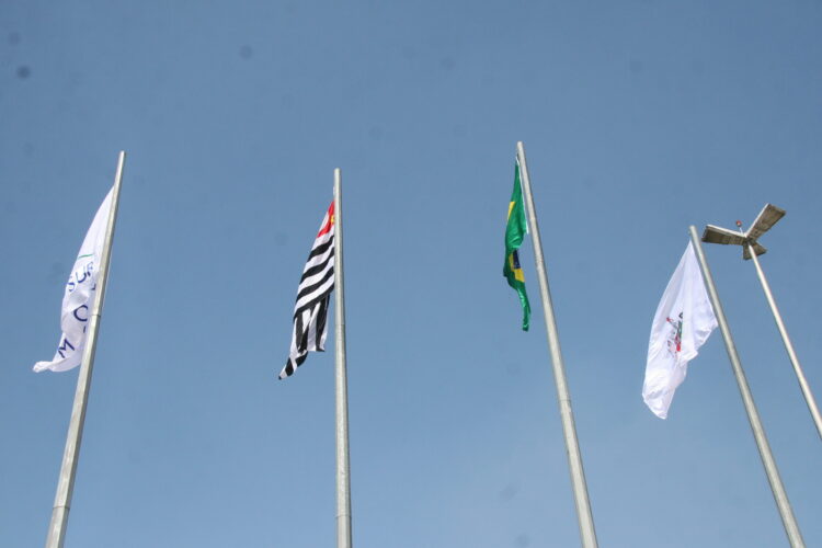 Hasteamento da bandeira do MERCOSUL – Uma Lei ainda desconhecida