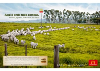 A marca e o público
