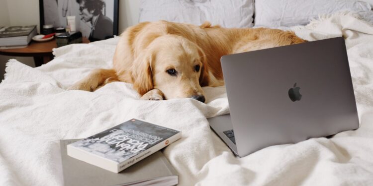Pequeno Manual de Boas Práticas na Internet